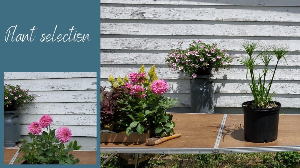 Front Porch Summer Planters - image 1 - student project