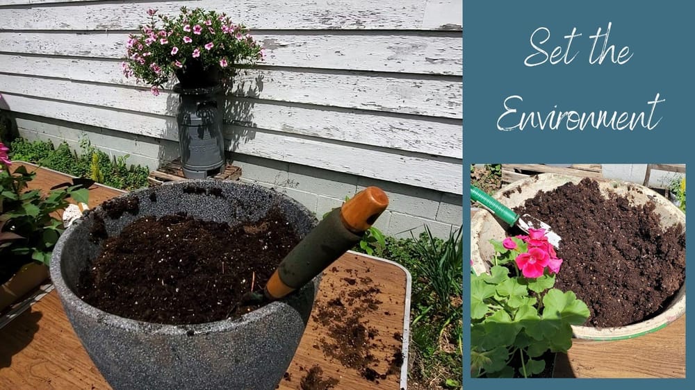 Front Porch Summer Planters - image 2 - student project