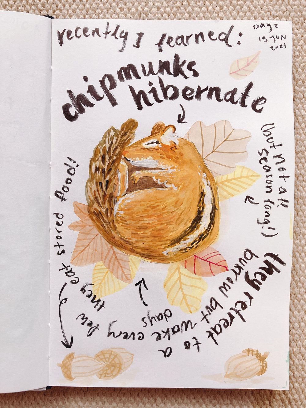 illustrated journalling - image 2 - student project
