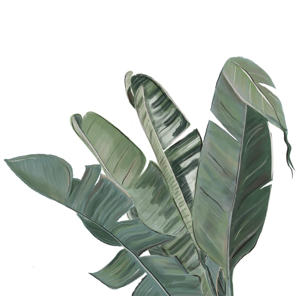 Mi first procreate exploration - image 2 - student project
