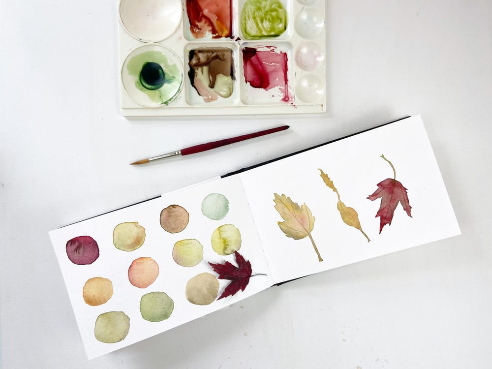 Color swatches and leaf sketches - image 1 - student project