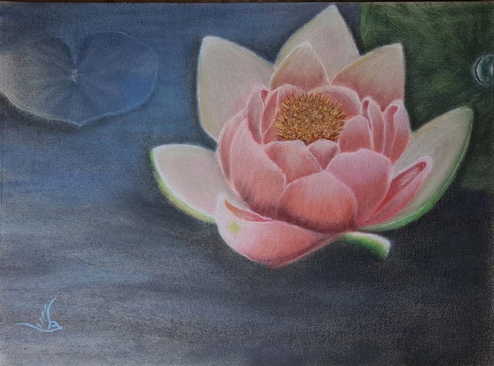 Water Lily in soft pastels - image 1 - student project