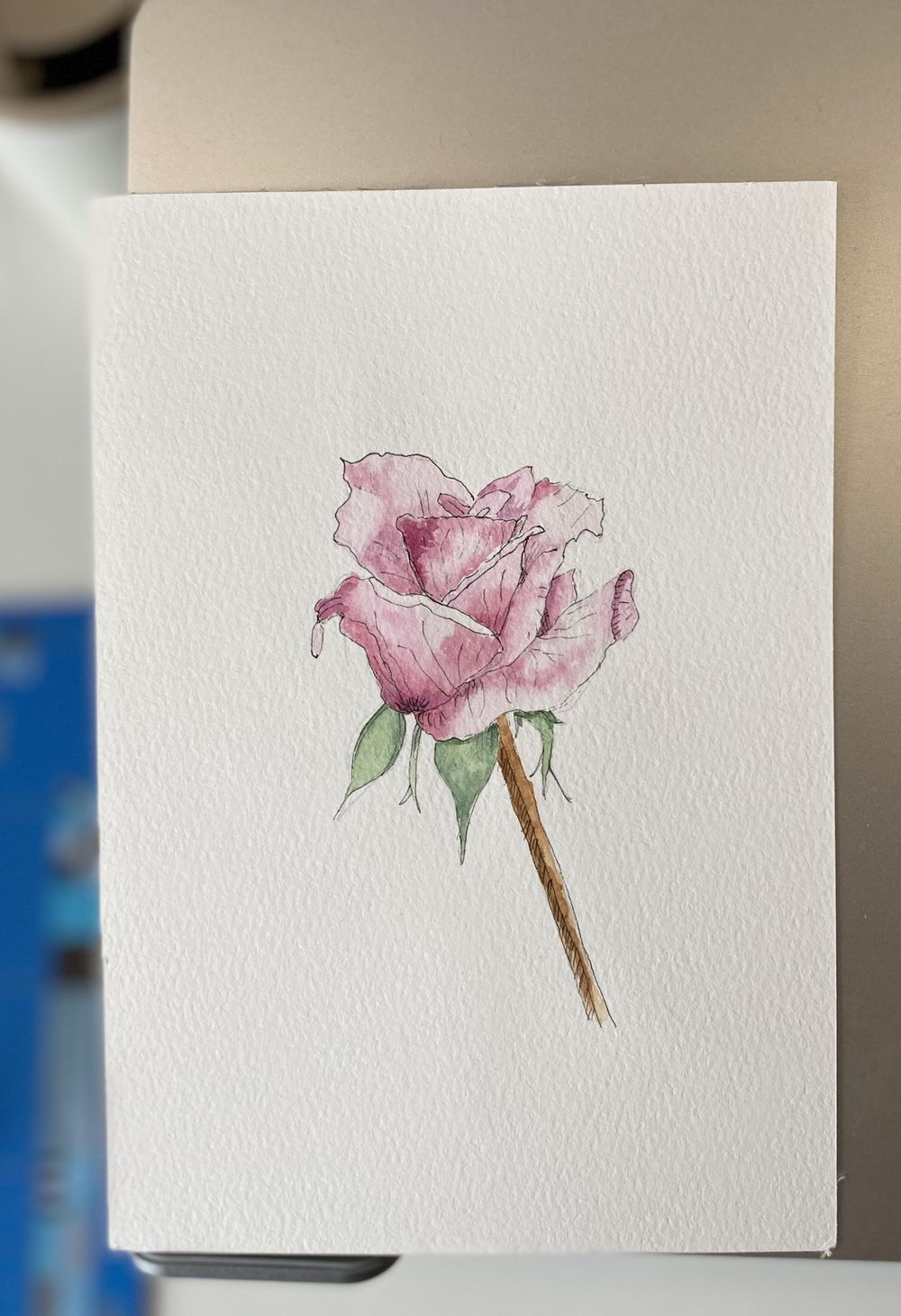 Rose in watercolor and ink - image 1 - student project