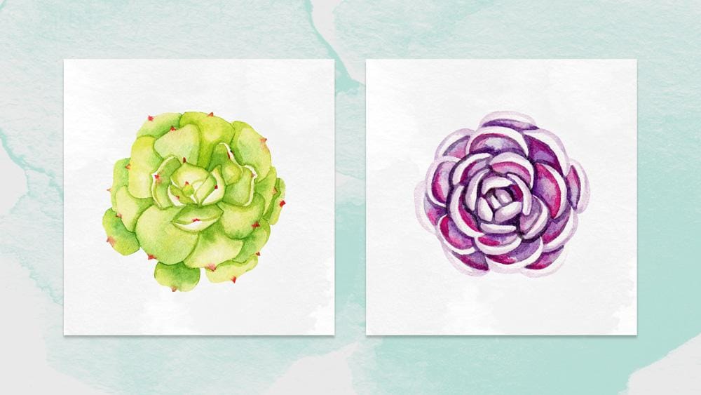 Watercolor Succulents Sample Project - image 3 - student project