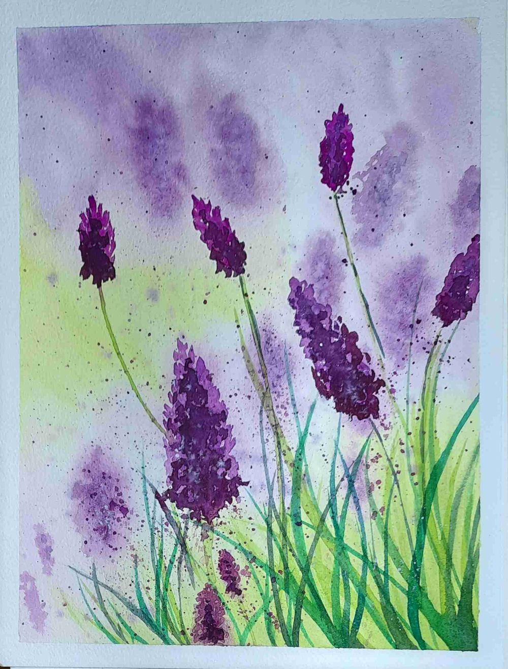 Soft meadows - image 1 - student project
