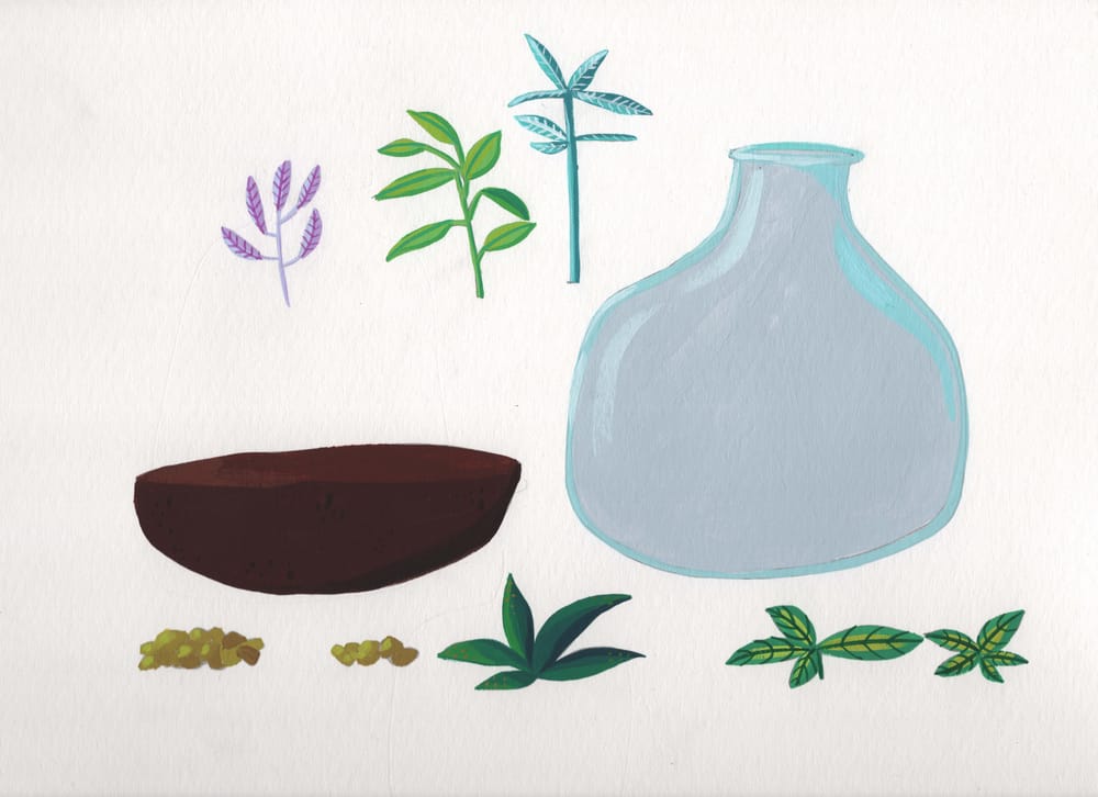 Digital Terrarium - image 1 - student project