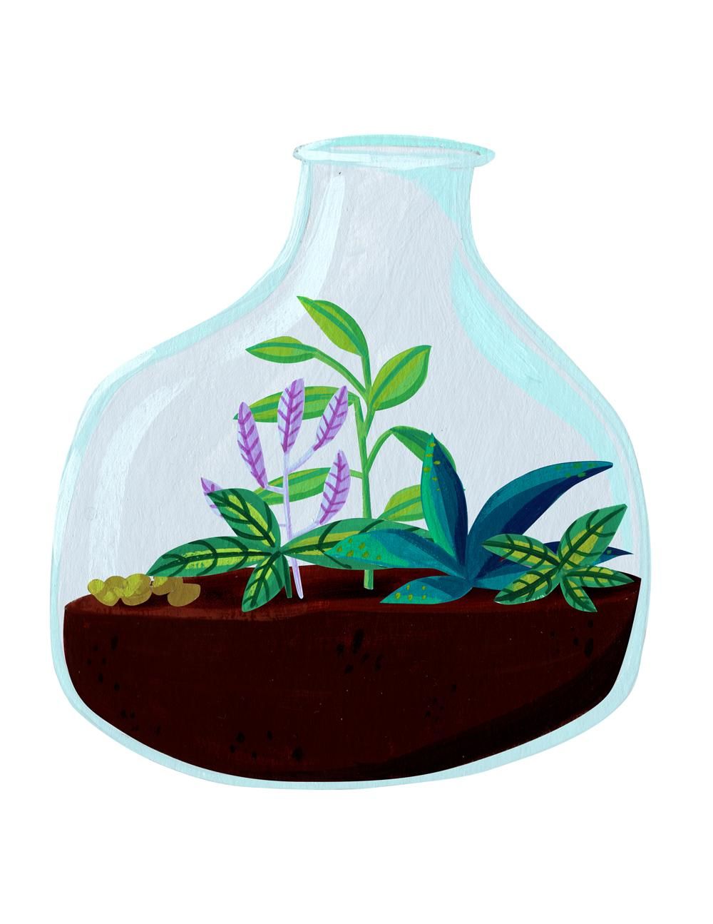 Digital Terrarium - image 2 - student project
