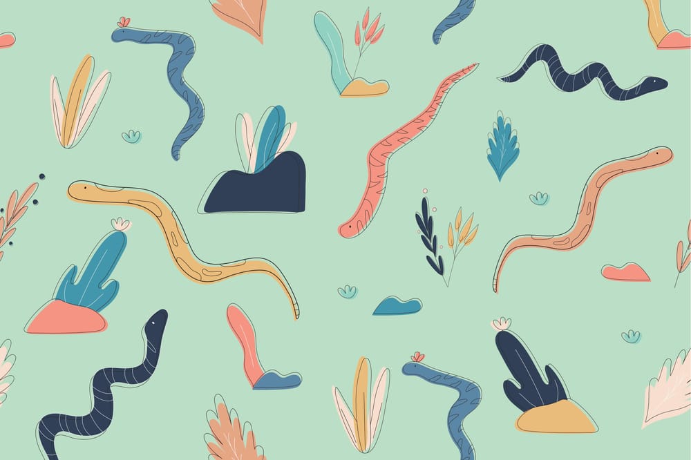 Snakess - image 4 - student project