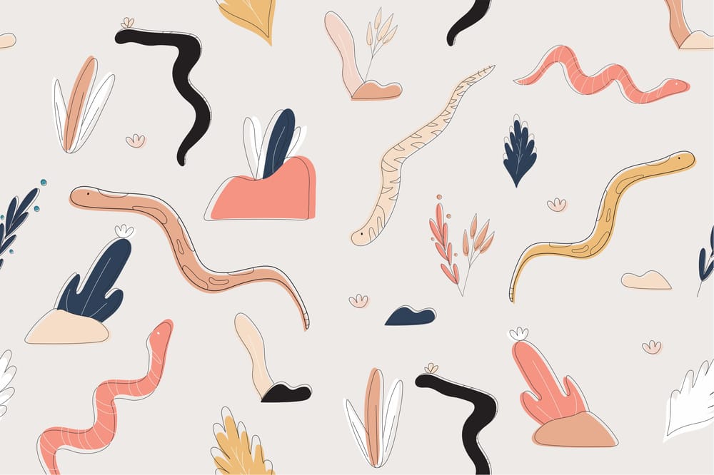 Snakess - image 2 - student project