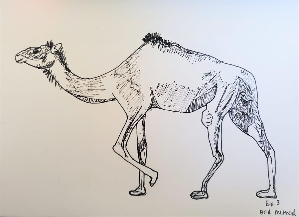 Drawing Project Exercises - image 5 - student project