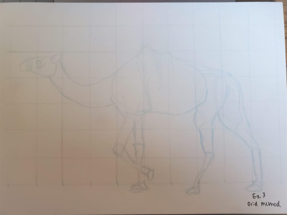 Drawing Project Exercises - image 4 - student project