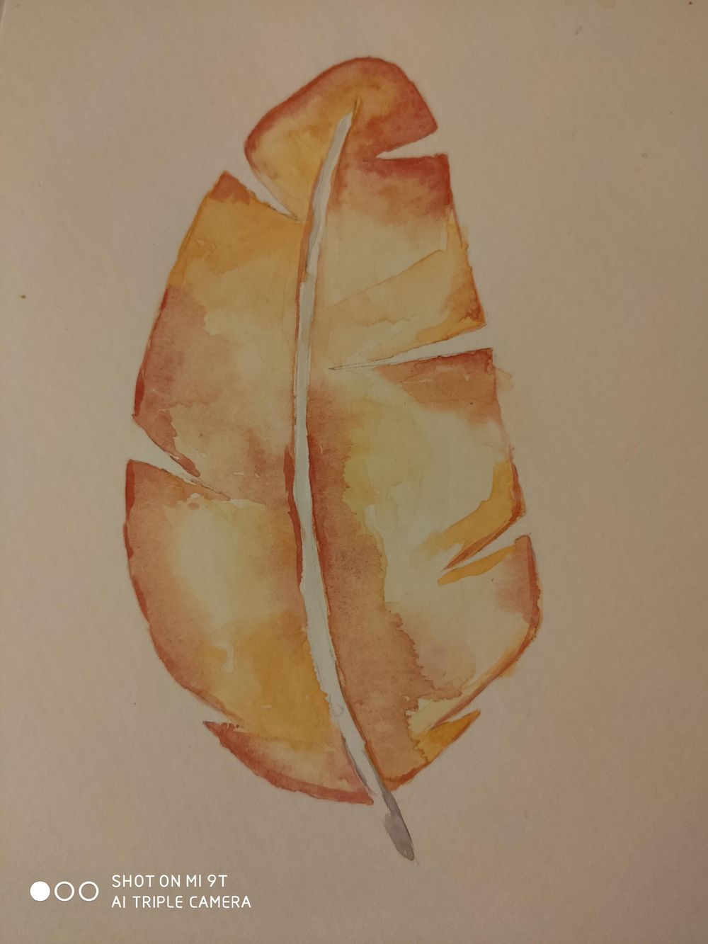 1. Feathers - image 1 - student project