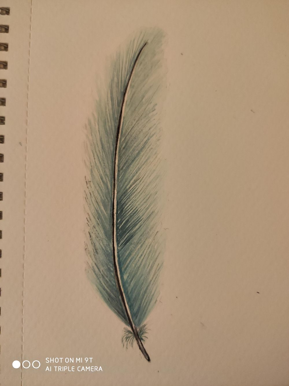 1. Feathers - image 3 - student project