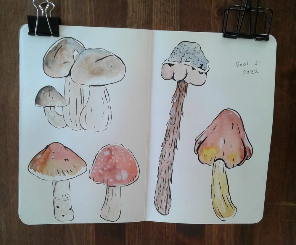 Mixed Media Mushrooms Skillshare Student Project