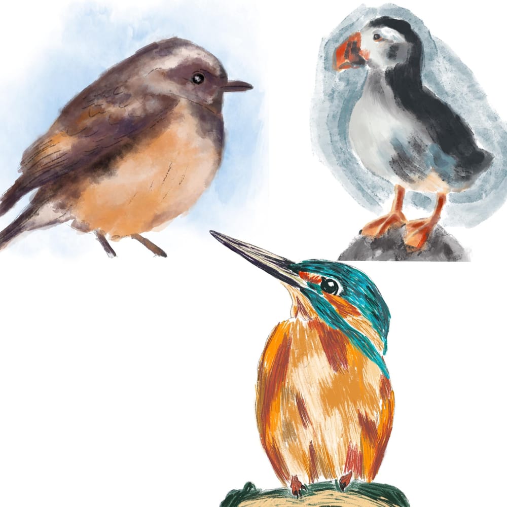Birds -watercolor, oil and ink - image 1 - student project