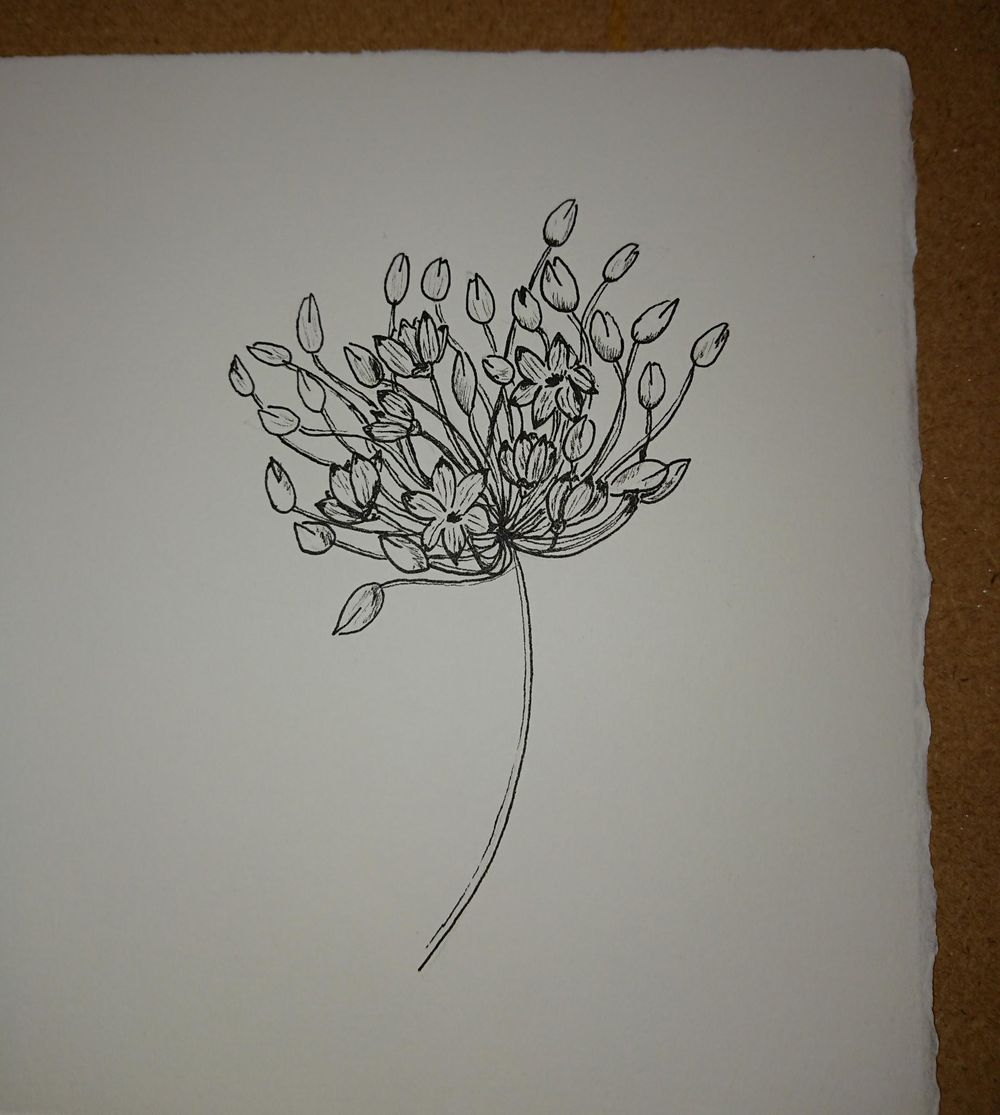 When complex is made easy, with pretty results - image 2 - student project