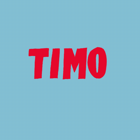 TIMO - image 1 - student project