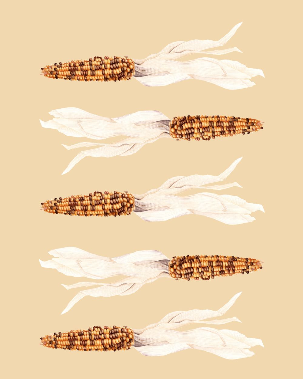 Watercolor Corn - image 3 - student project