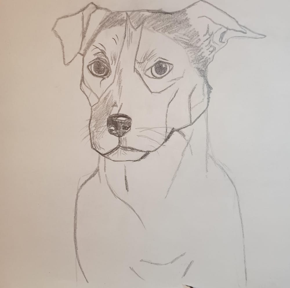Dogs - image 2 - student project