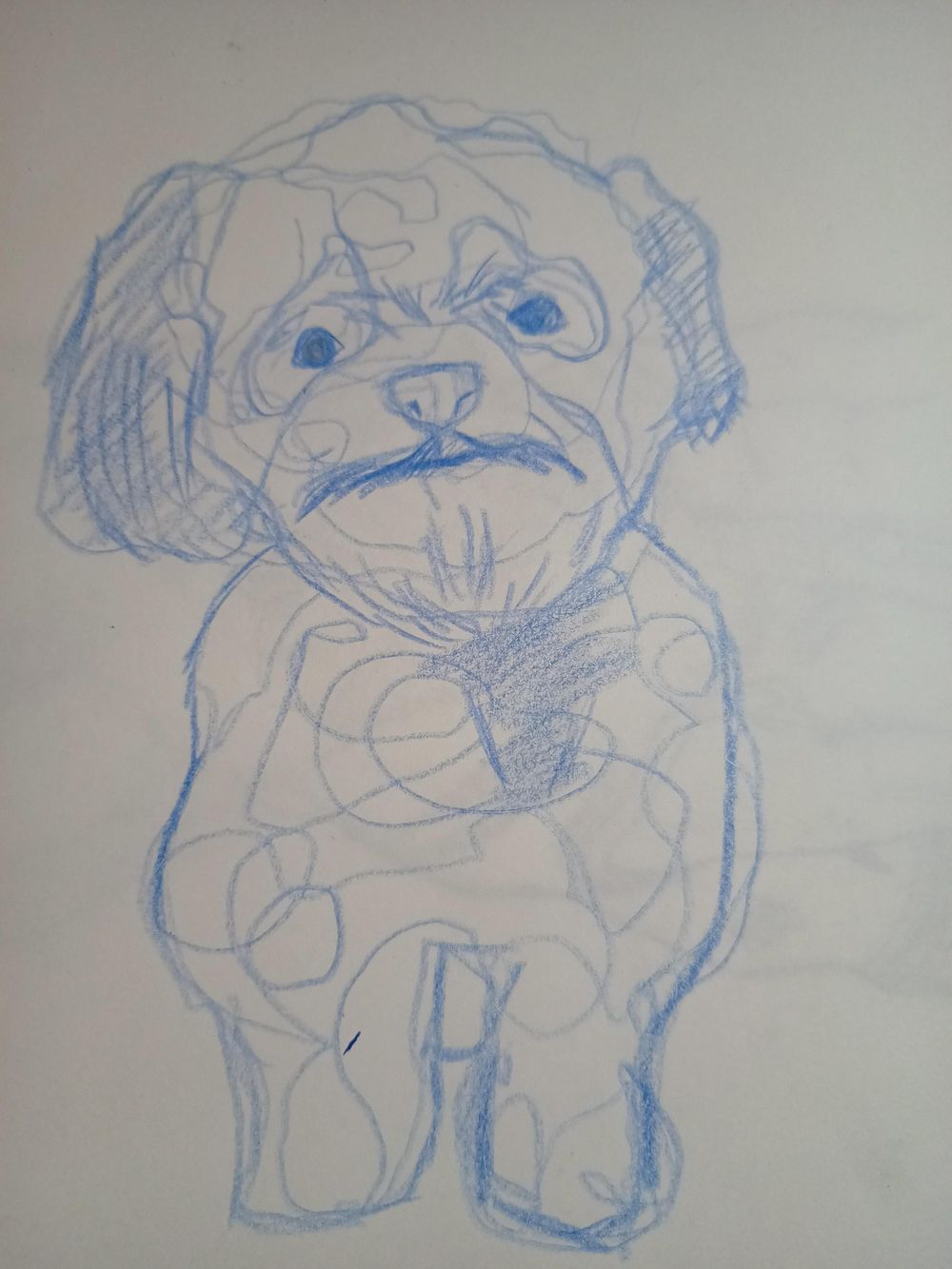 Dogs - image 1 - student project