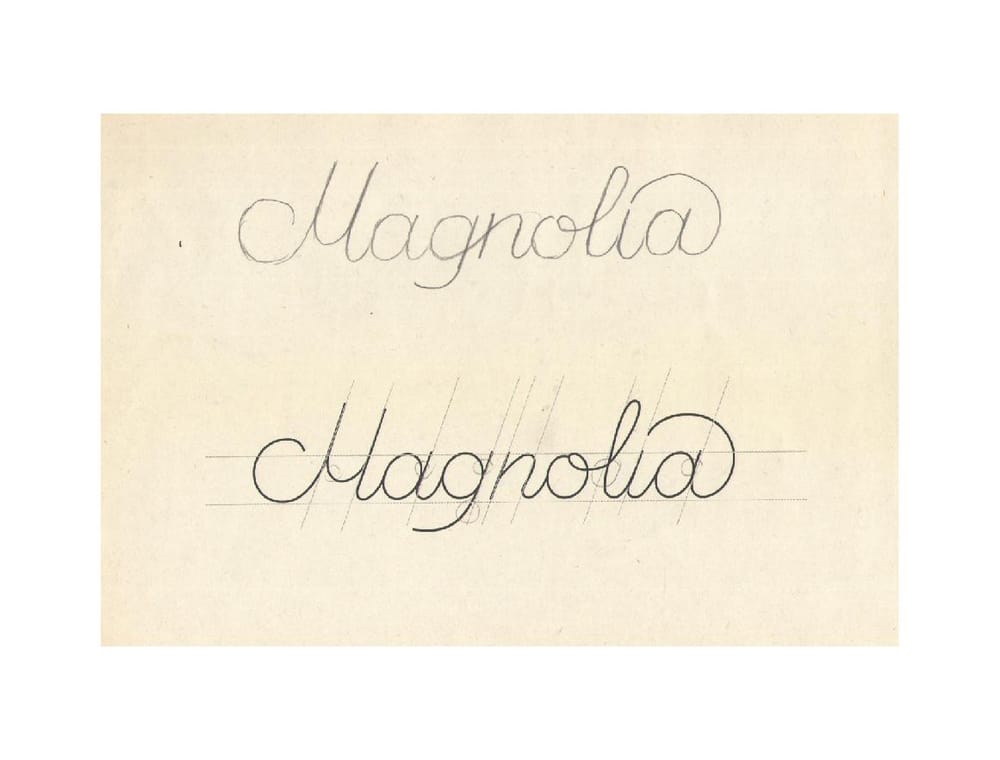 White Magnolia - image 1 - student project