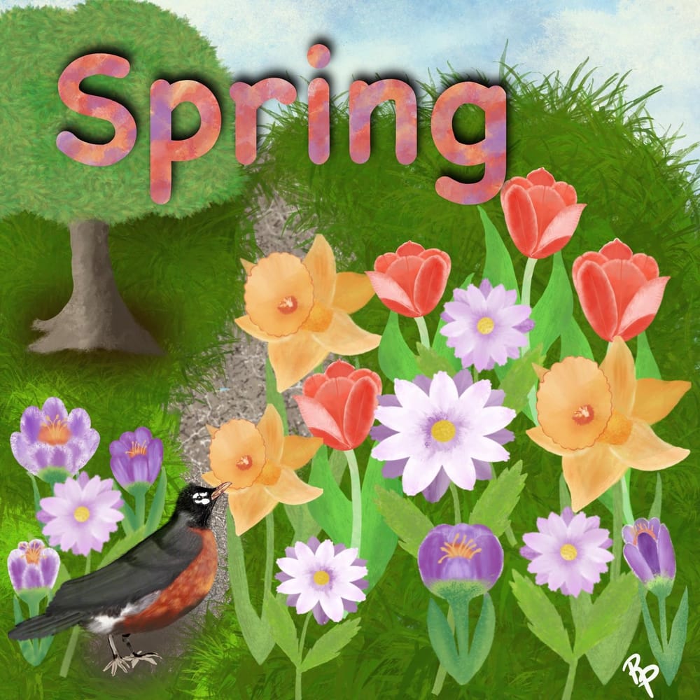 Spring - image 1 - student project