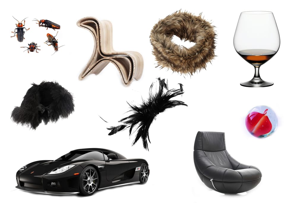 Black Swan (Sample Project) - image 3 - student project