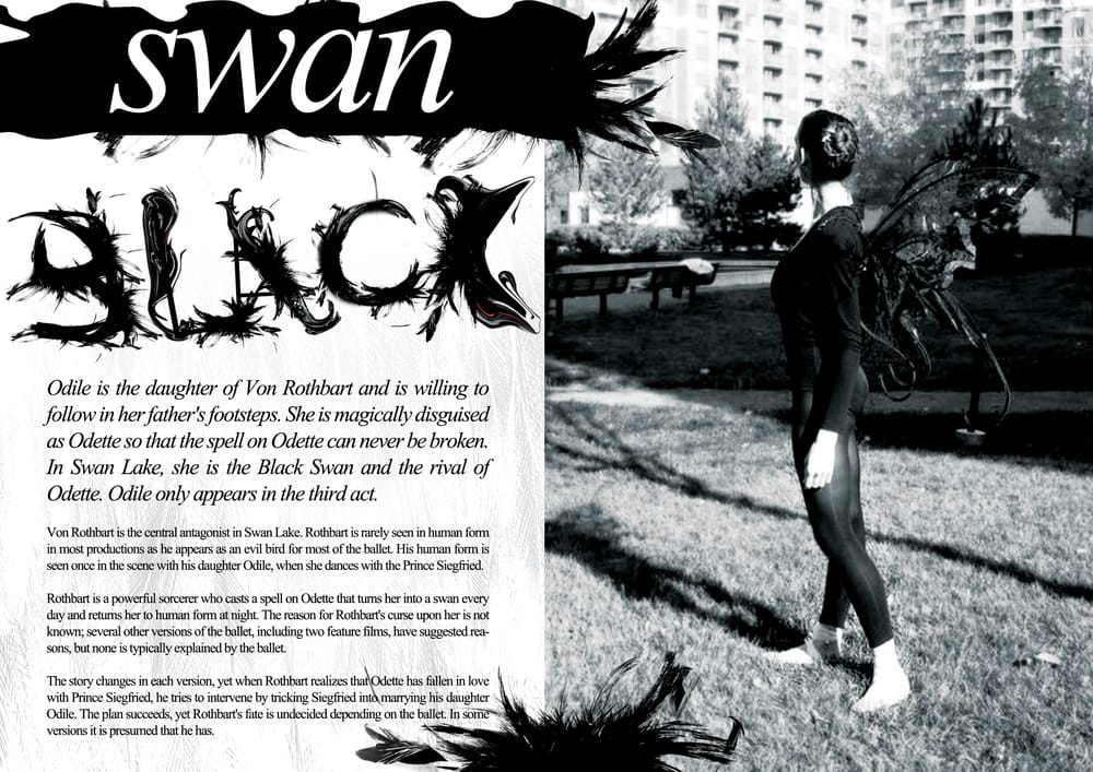 Black Swan (Sample Project) - image 1 - student project