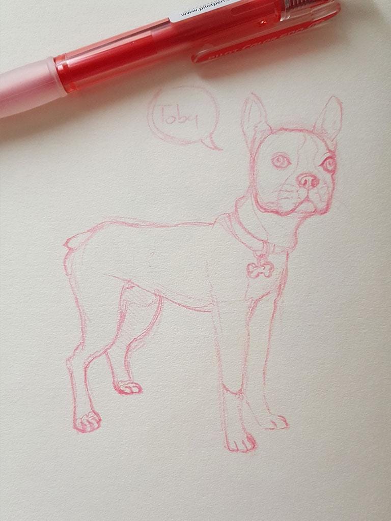 Toby Our Boston Terrier - image 2 - student project
