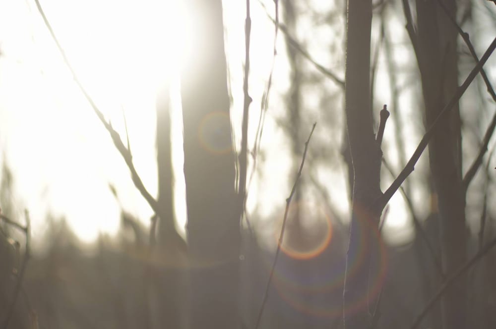 Shadow and Light - image 3 - student project
