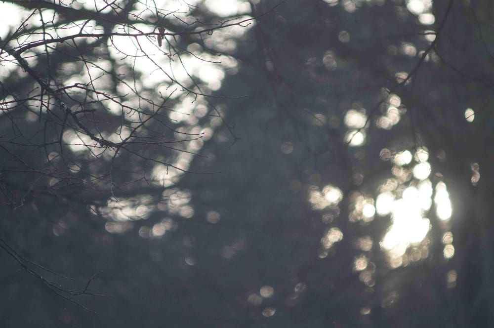 Shadow and Light - image 5 - student project