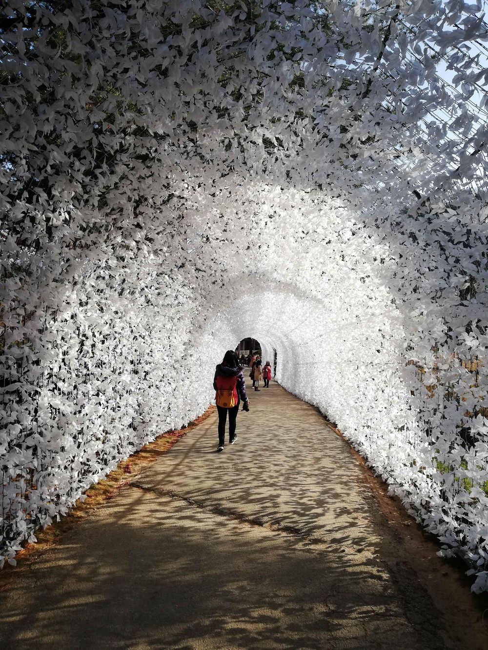 Random places in Seoul, South Korea - image 1 - student project