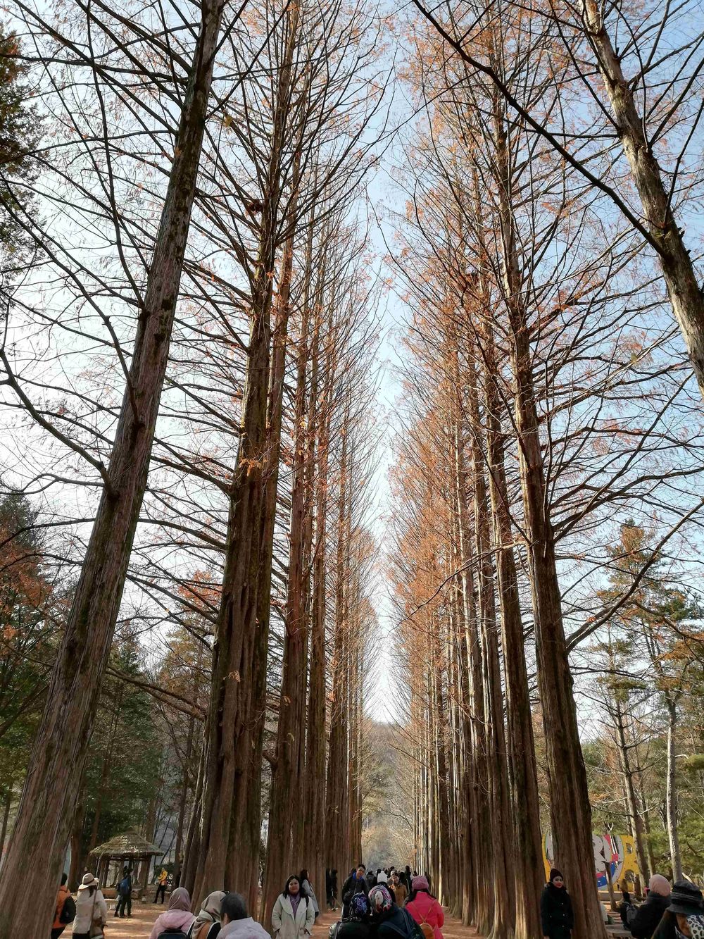 Random places in Seoul, South Korea - image 6 - student project