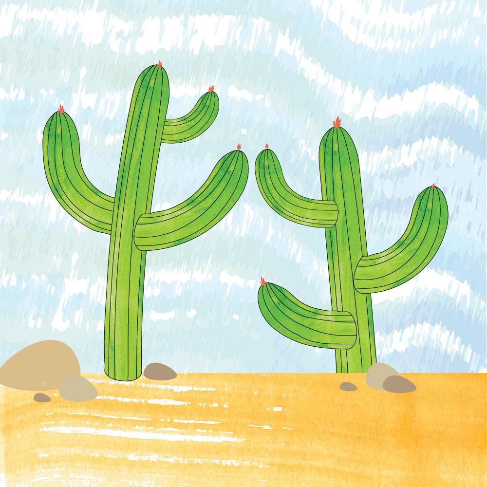 Cacti project - image 2 - student project