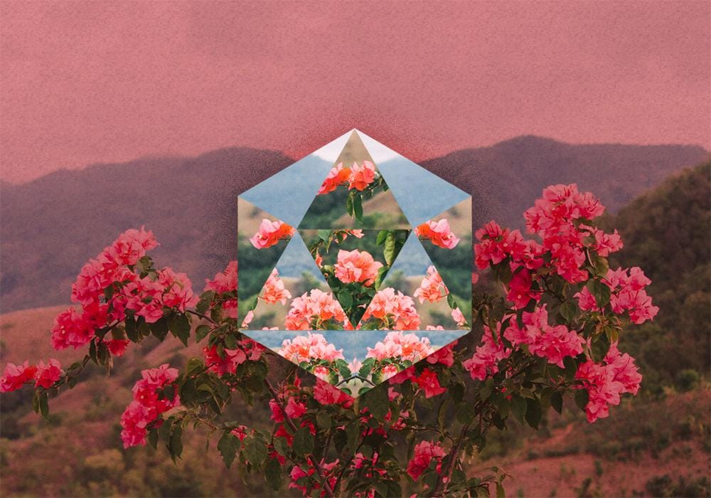 The Blooming of Gem - image 1 - student project