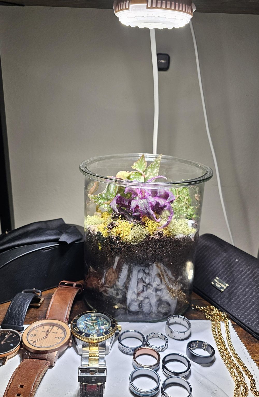 Open terrarium - image 2 - student project