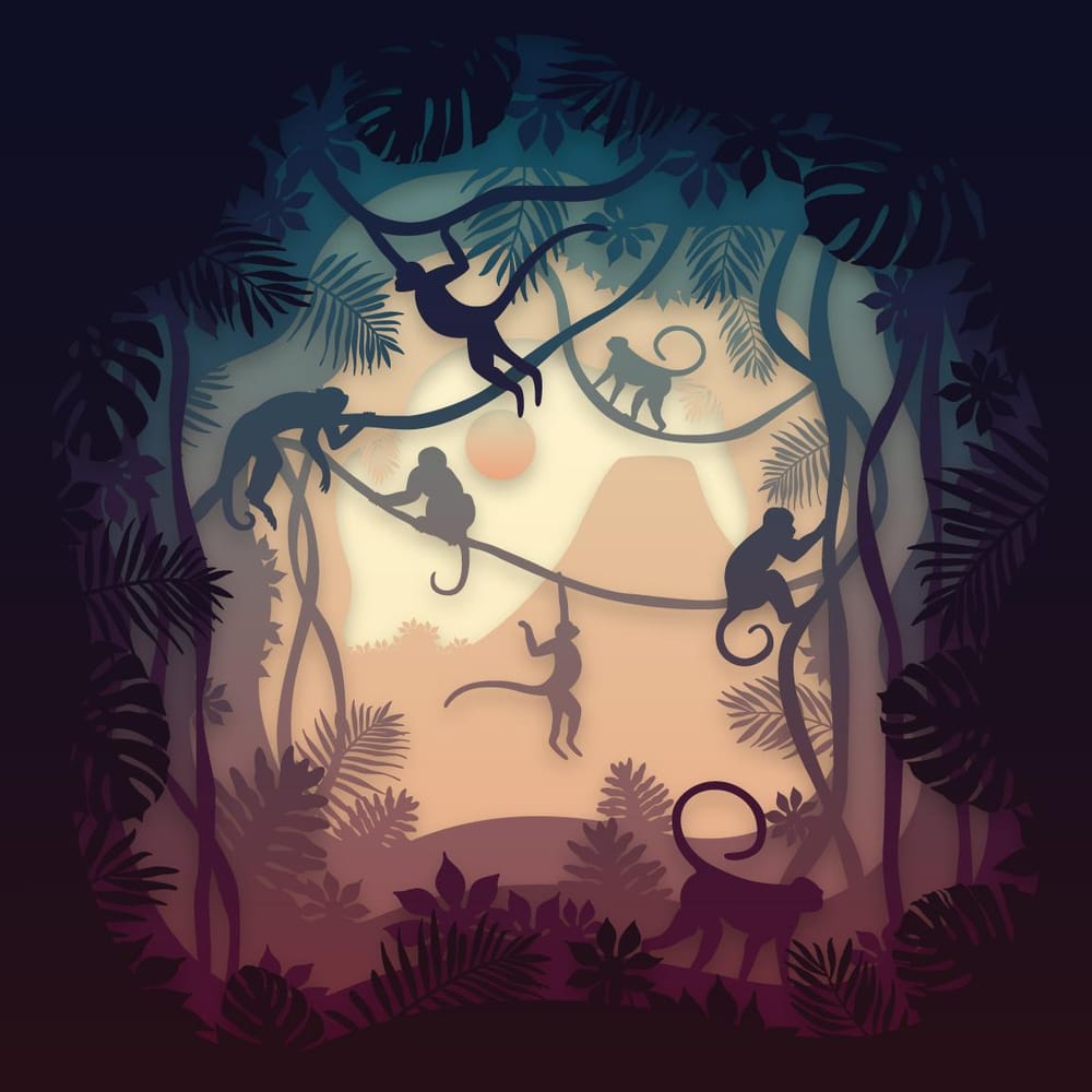 Capuchin Land - image 4 - student project