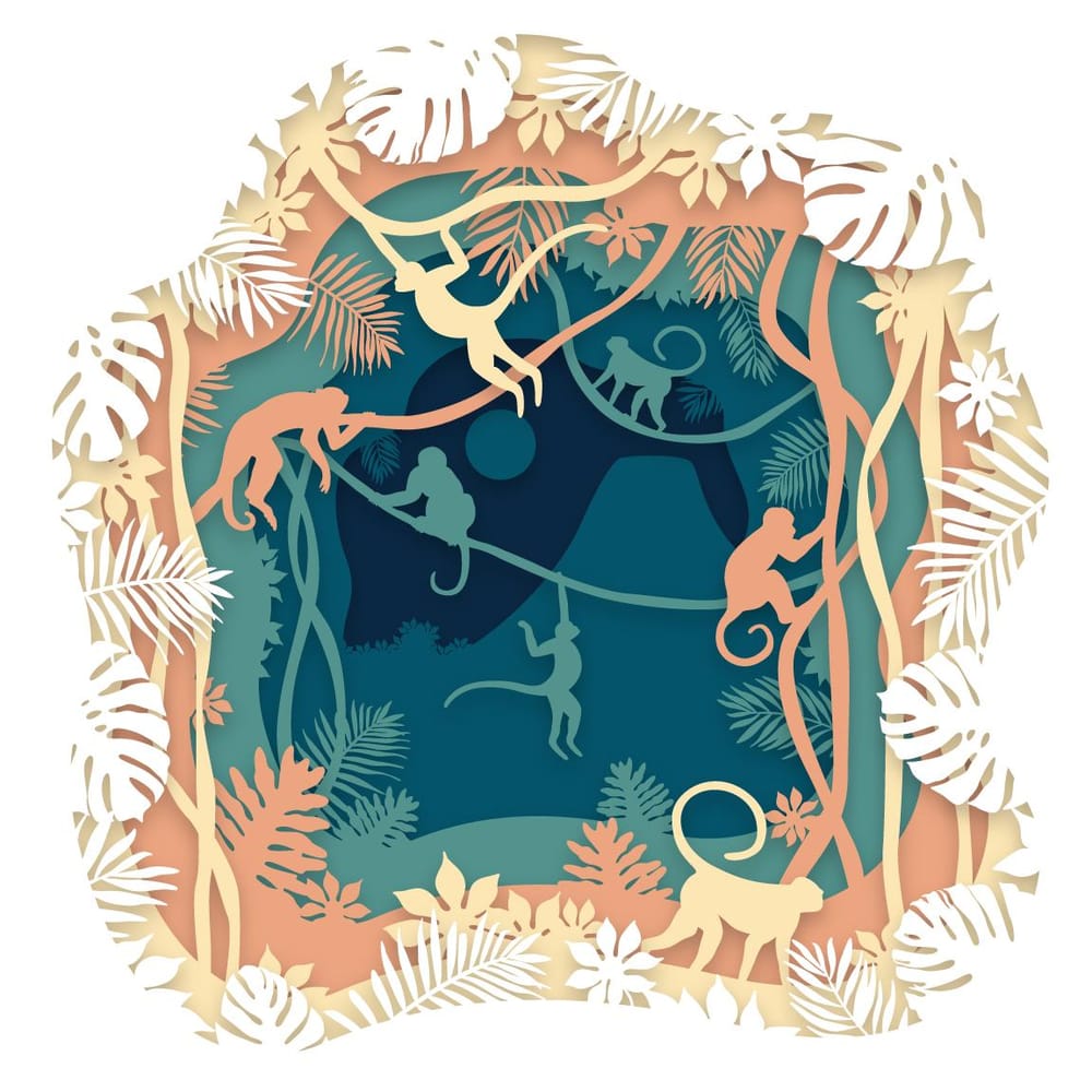 Capuchin Land - image 3 - student project