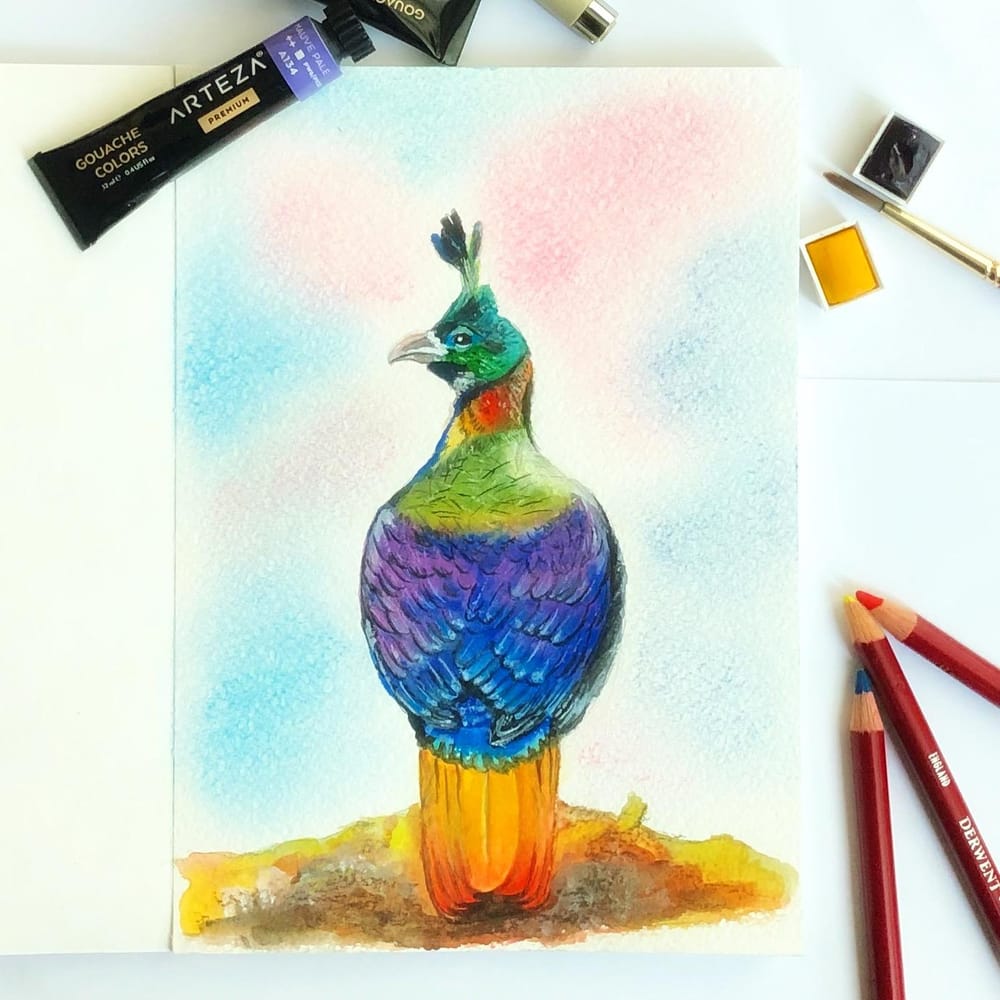 Mixed Media Himalayan Monal - image 5 - student project