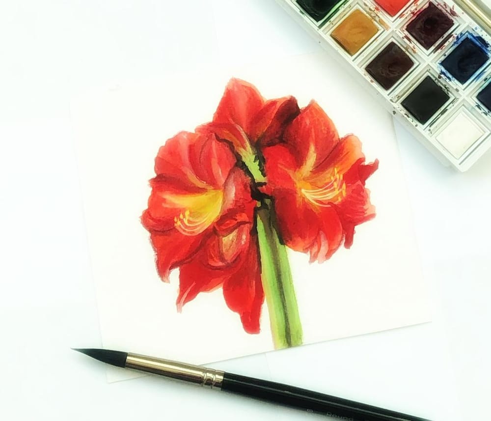 Watercolor Amaryllis | Skillshare Student Project