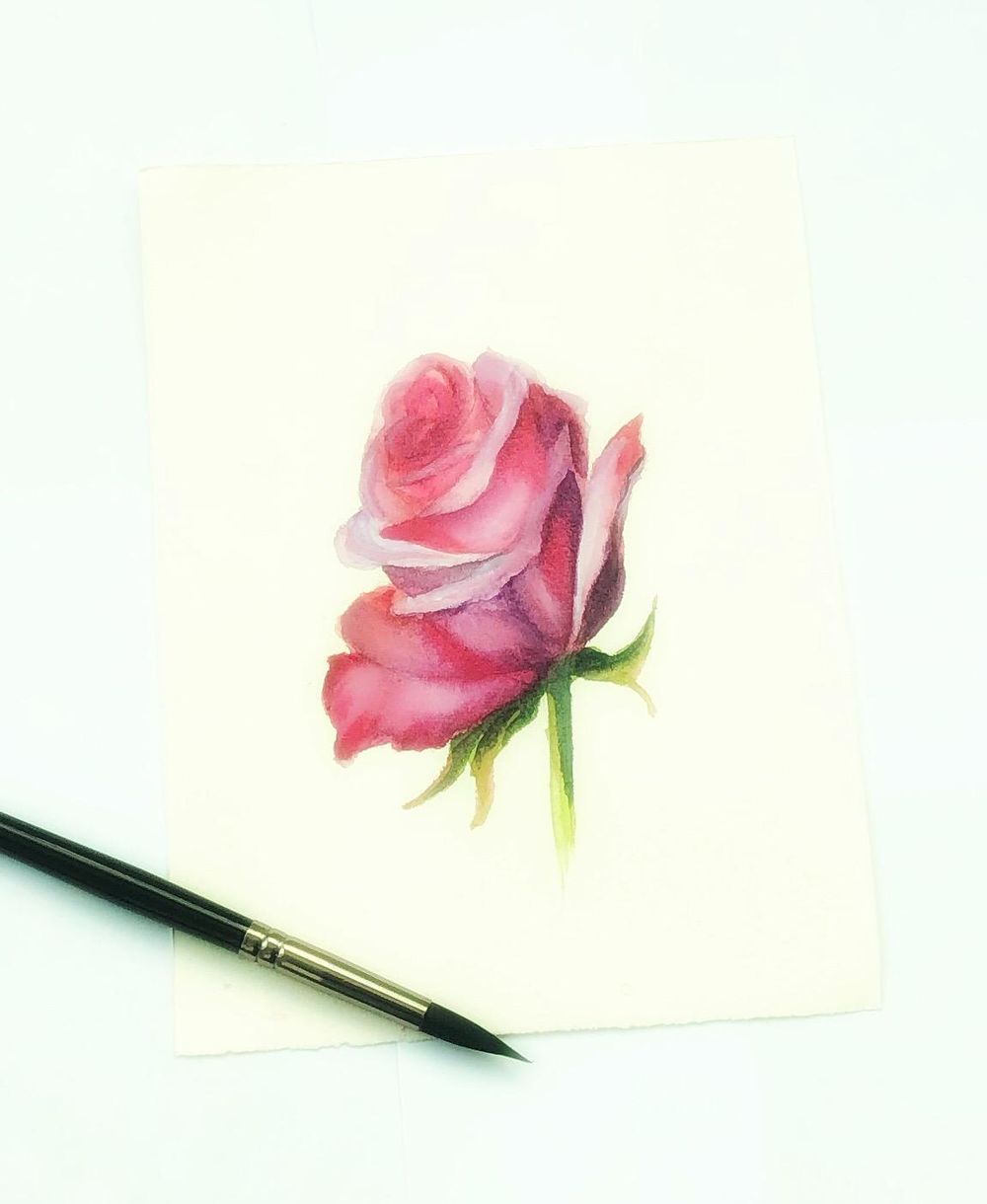Watercolor rose - image 1 - student project