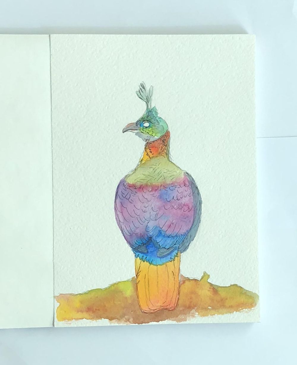 Mixed Media Himalayan Monal - image 3 - student project