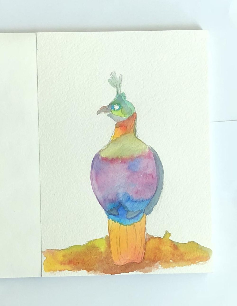 Mixed Media Himalayan Monal - image 2 - student project