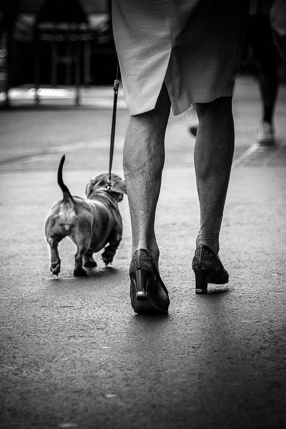 Street photography - image 4 - student project
