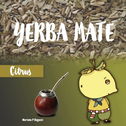 Yerba mate tastes - image 3 - student project