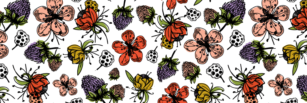 Spring Fields - image 3 - student project