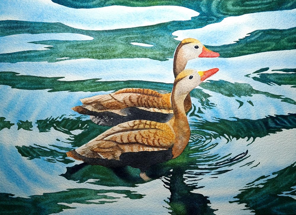 Ducks, Ripples - image 1 - student project