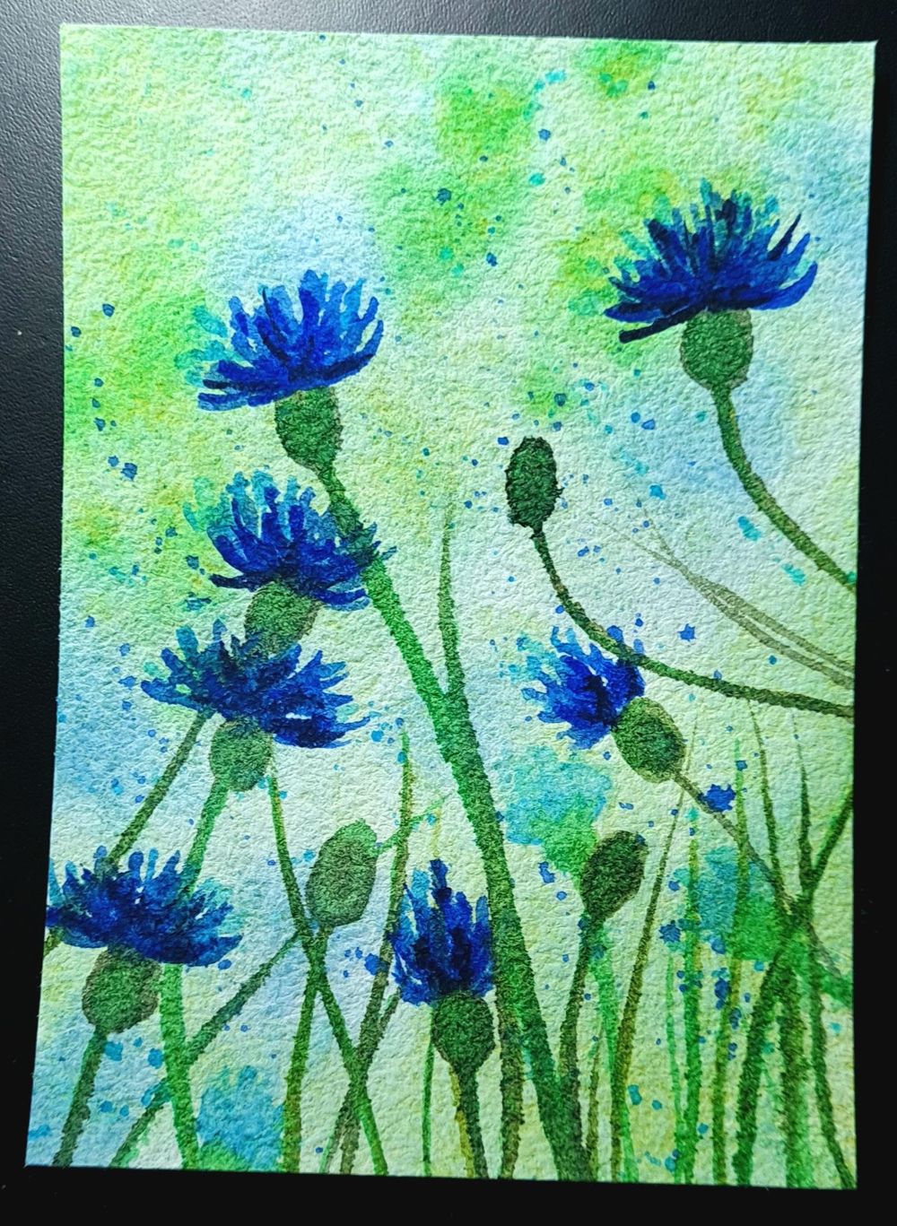 Soft Meadows - image 3 - student project