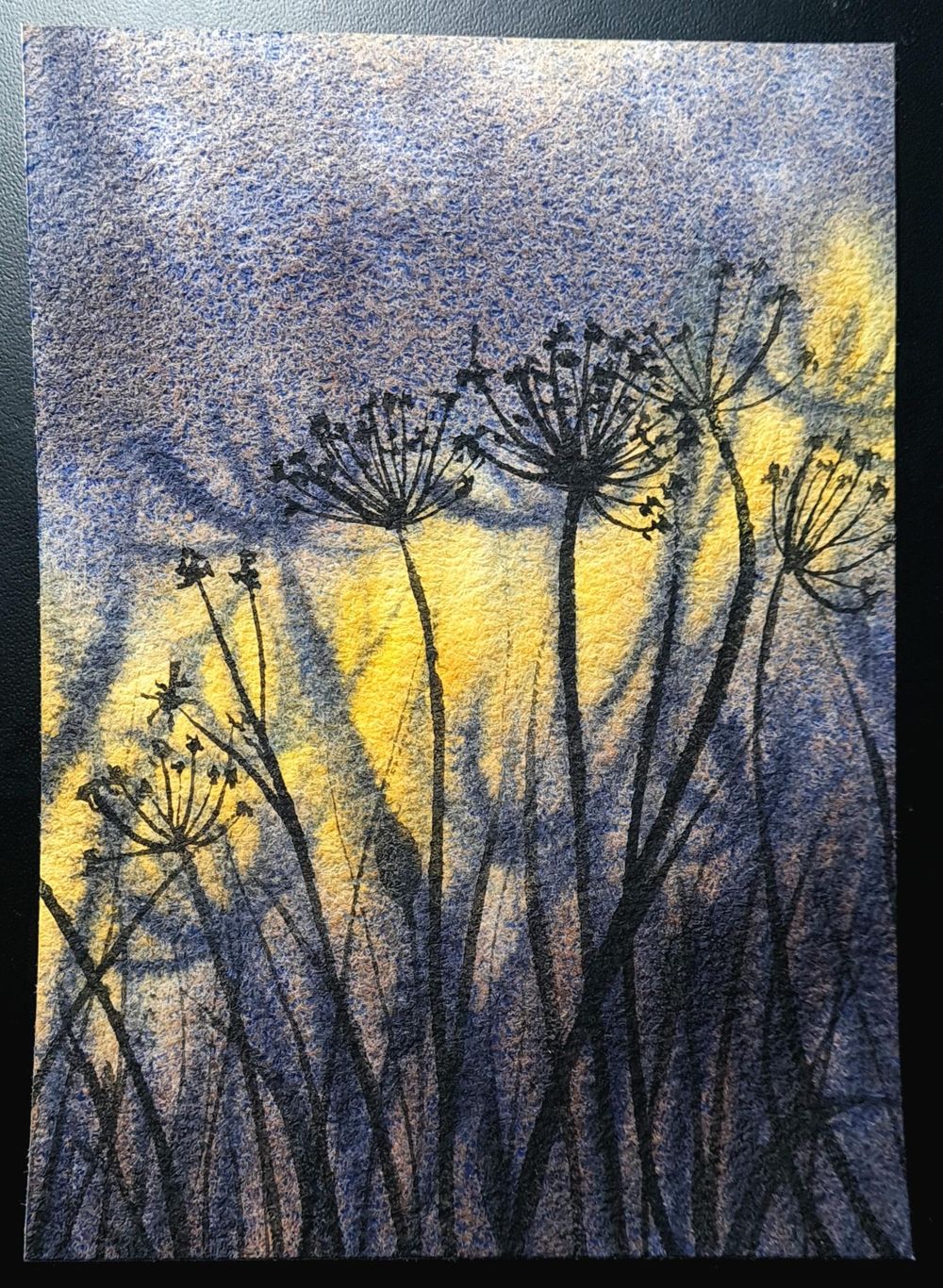 Soft Meadows - image 1 - student project