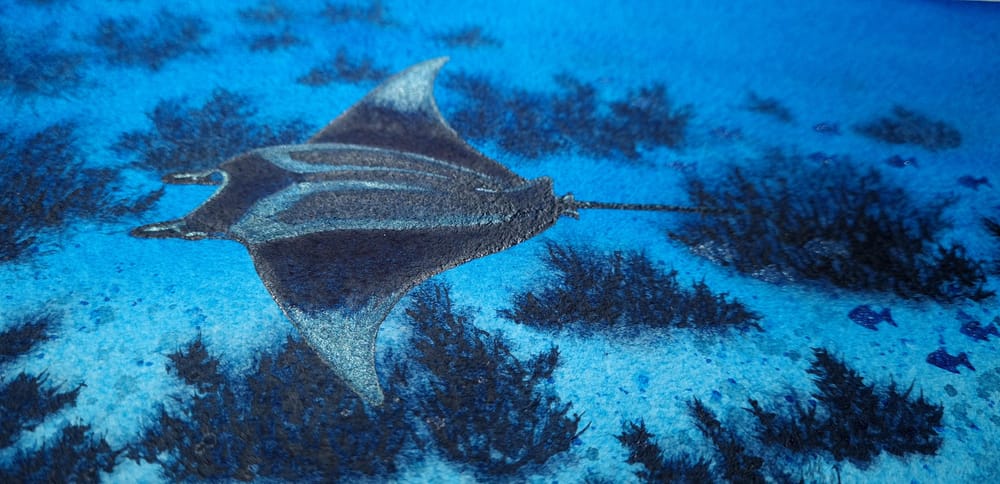 Giant Manta Ray with Metallic Highlights - image 2 - student project